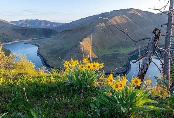 Horseshoe Bend Idaho Small Town Near Boise